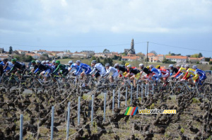 Le peloton au 4ème tour (377x)