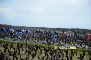 Le peloton au 4ème tour (2) (559x)
