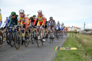 Le peloton en chasse derrière les 12 (2) (307x)