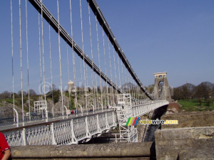 Suspension Bridge (235x)