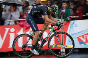 Alejandro Valverde (Movistar Team) (437x)