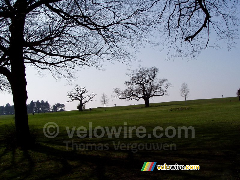 Trees in a park/golf course in Bristol