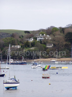 Salcombe (283x)