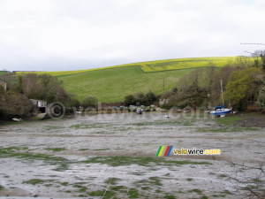 Our view during lunch in Salcombe (241x)