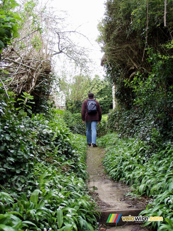 Cdric op trektocht in Salcombe