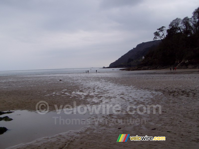 Salcombe beach