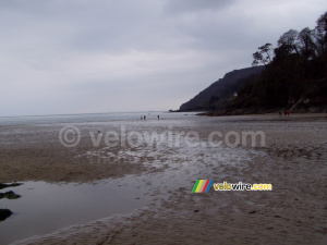 Salcombe beach (218x)