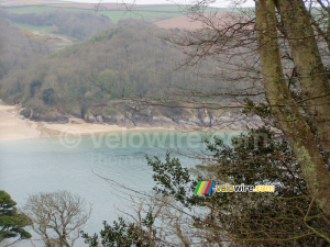 The sea in Salcombe seen from above (189x)