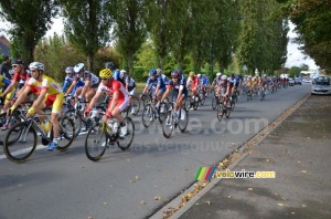 The peloton back in Isbergues (442x)