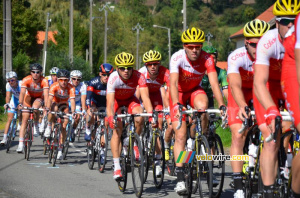 The Cofidis team in the peloton (538x)