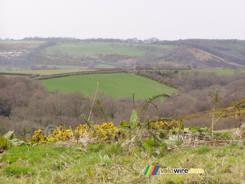 Dartmoor National Park
