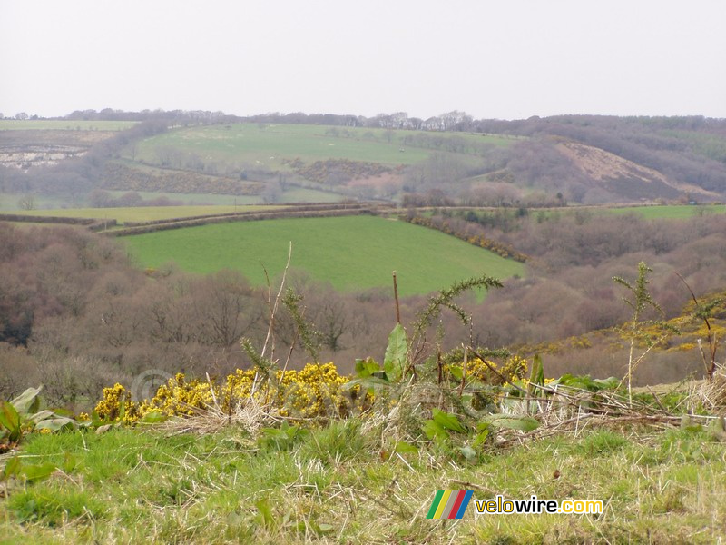 Dartmoor National Park