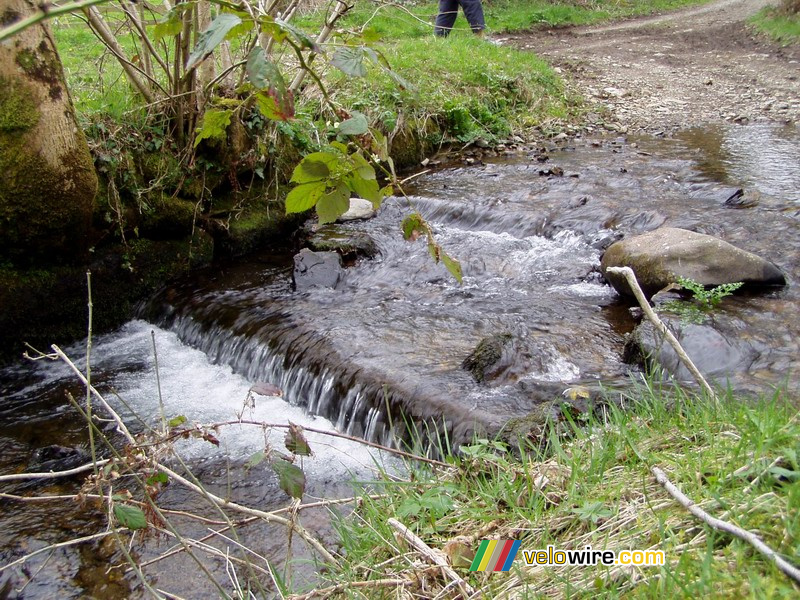 Riviertje in Dartmoor National Park