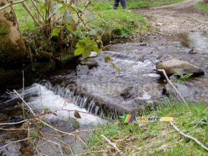 River in Dartmoor National Park (190x)