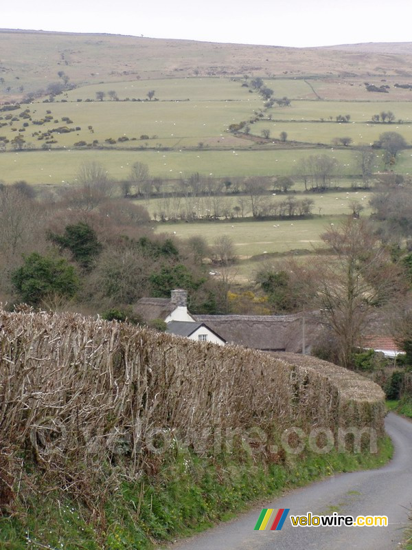 Dartmoor National Park