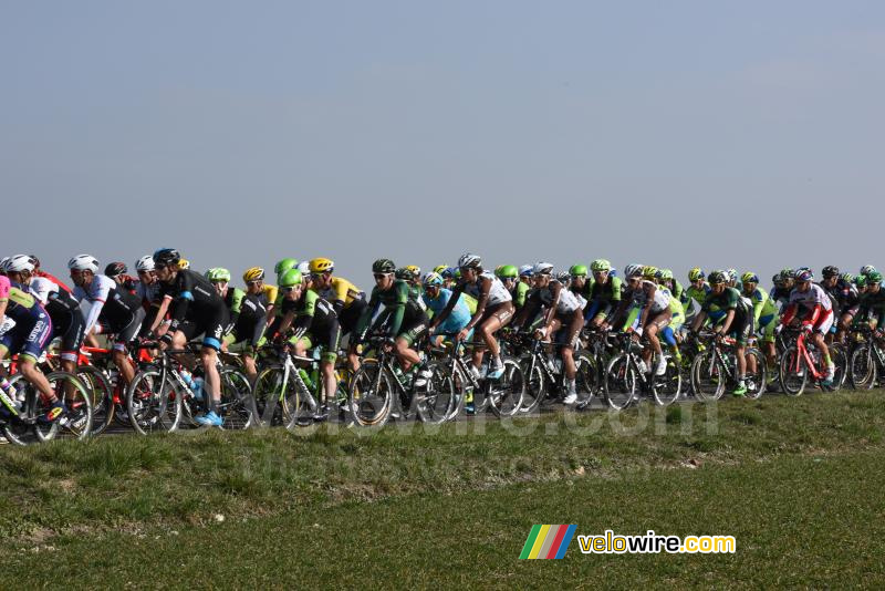 Le peloton au sommet de la Côte de Vicq (2)