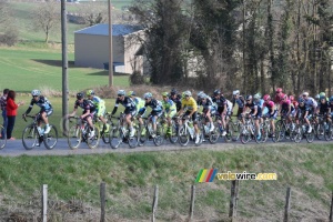 The peloton surrounded by fields (318x)