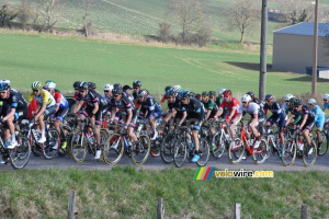 Le peloton passe à travers champs (2) (350x)