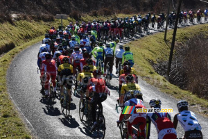 The peloton on the col du Beau Louis (511x)