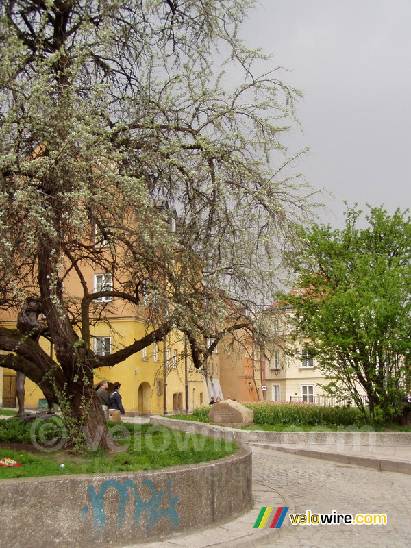 Un arbre devant des maisons colorées à Varsovie