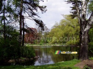 A parc in Warsaw (193x)