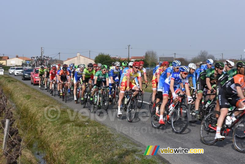 Het peloton (2)