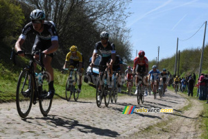 The peloton led by Etixx-QuickStep (353x)