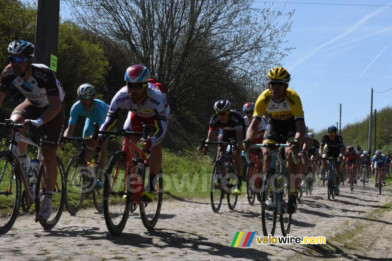 Het peloton in de strook van Saint-Python