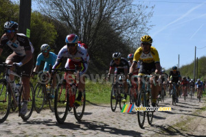 The peloton in the Saint-Python section (437x)