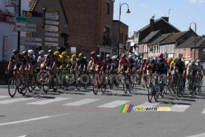 The peloton in Wallers (353x)