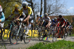 Heinrich Haussler (IAM) & André Greipel (Lotto-Soudal) (475x)