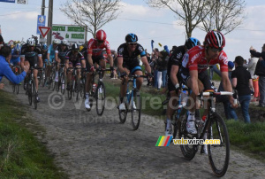 Le peloton à Mons-en-Pévèle (603x)