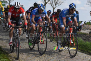 Le peloton à Mons-en-Pévèle (2) (504x)
