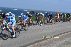 The peloton at the sea side (3) (427x)