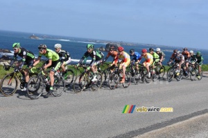 The peloton at the sea side (5) (429x)