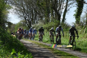The chasing group full speed on the ribin in Milizac (379x)