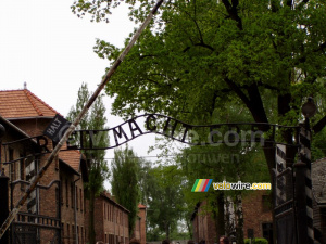 [Auschwitz] Entry with the text 'Arbeit macht frei' (502x)