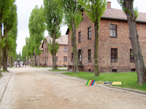 [Auschwitz] (487x)