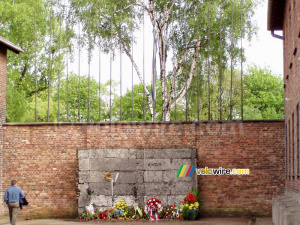 [Auschwitz] The wall of death (773x)