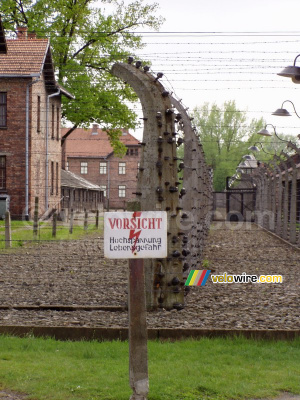 [Auschwitz] (453x)