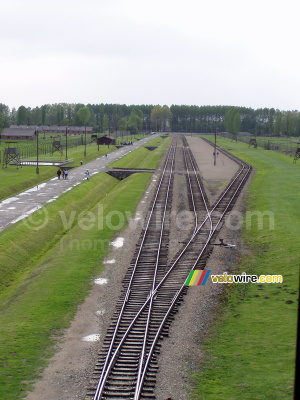 [Birkenau] The train rails (467x)