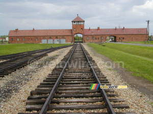 [Birkenau] (228x)