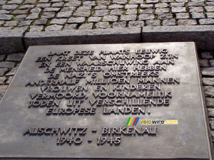 [Birkenau] Memorial (195x)