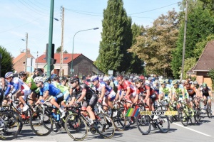 The peloton back in Isbergues (321x)