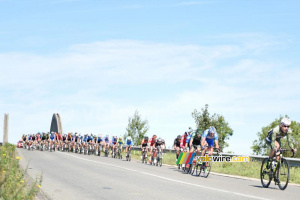 Le peloton regroupé près de Robecq (299x)