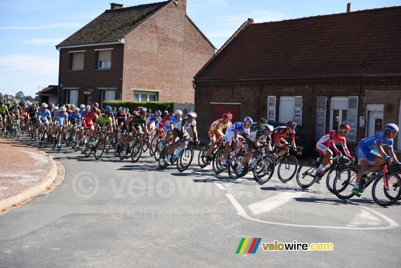 Het peloton vlakbij Gonnehem