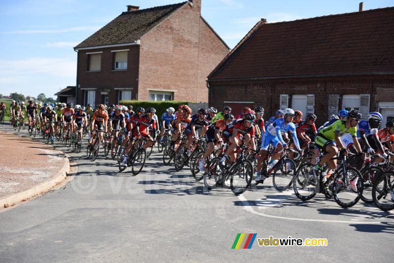 Het peloton vlakbij Gonnehem (2)