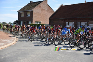 The peloton close to Gonnehem (2) (433x)