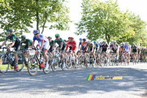 The peloton just after the second climb (326x)