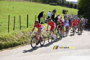 The peloton led by Cofidis (302x)